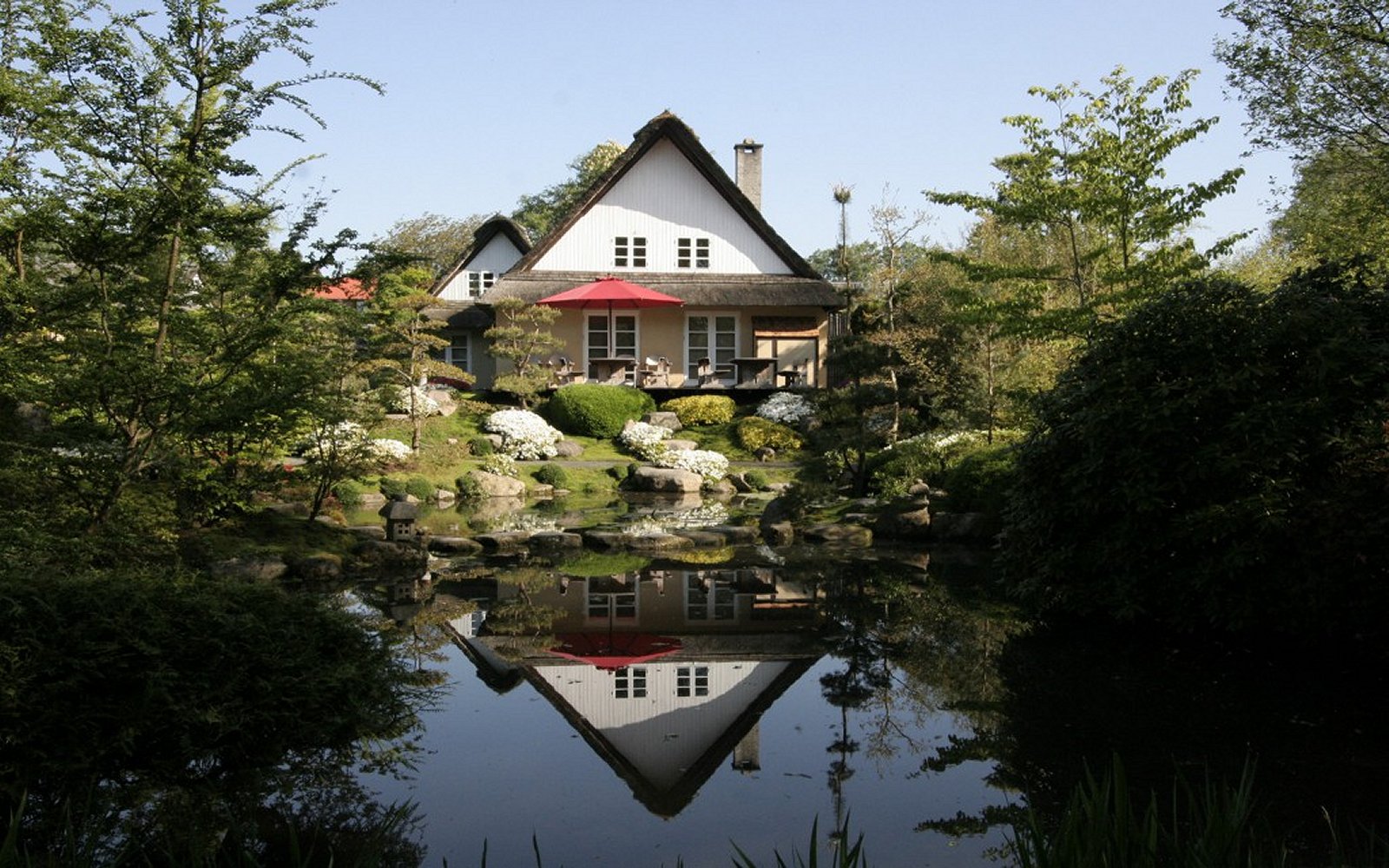 De-japanske-haver-foreningen-japanske-haver-6.jpg